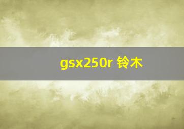 gsx250r 铃木